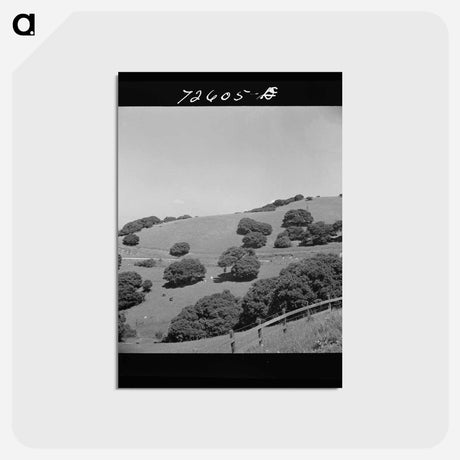 アートポストカード-San Benito County Hills
 - ラッセル リー Postcard.