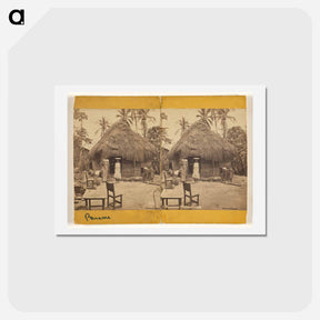 アートポストカード-Native Hut, Panama
 - エドワード マイブリッジ Postcard.