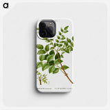 Common prickly-ash - Pierre Joseph Redouté Phone Case.