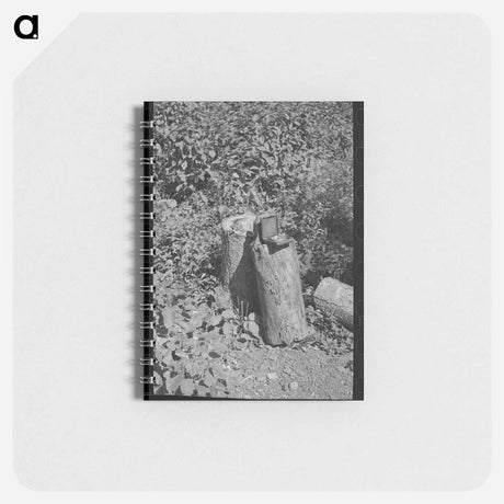 アートメモ帳-Mr. Leatherman's Terraces
 - ラッセル リー Memo.