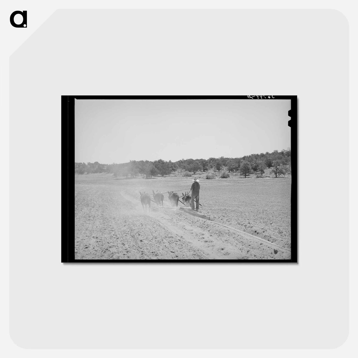 アートポストカード-Mr. Leatherman's Terraces
 - ラッセル リー Postcard.