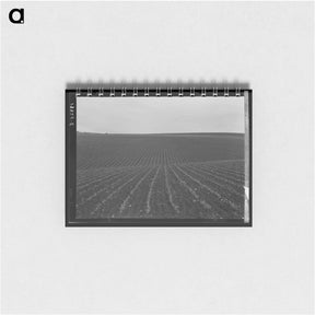 アートメモ帳-Untitled photo - ドロテア ラング Memo.