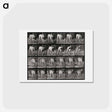 アートポストカード-Prowling Dog
 - エドワード マイブリッジ Postcard.