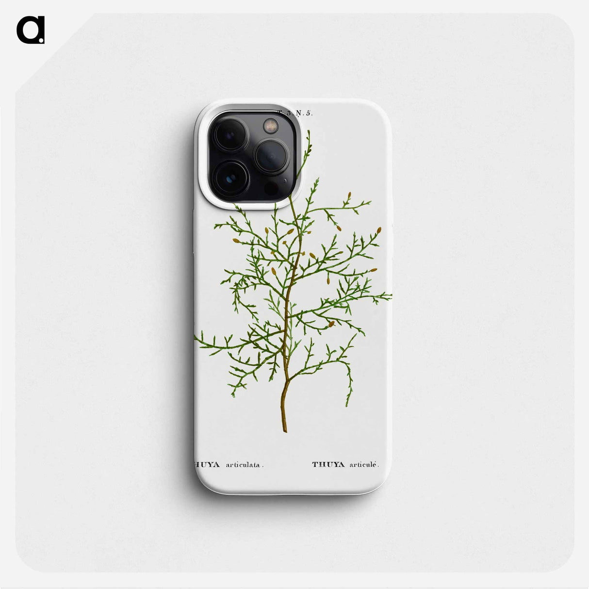 Sictus tree, Thuya articulata - Pierre Joseph Redouté Phone Case.
