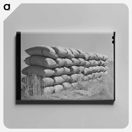 アートパネル-Parcel Post Racks
 - ラッセル リー Canvas.