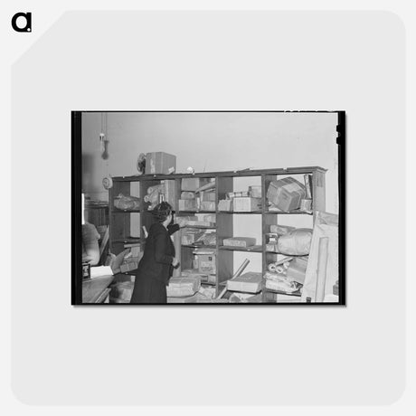アートポストカード-Parcel Post Racks
 - ラッセル リー Postcard.