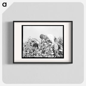アートポスター-Picking cotton - ドロテア ラング Poster.