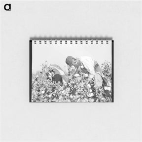 アートメモ帳-Picking cotton - ドロテア ラング Memo.