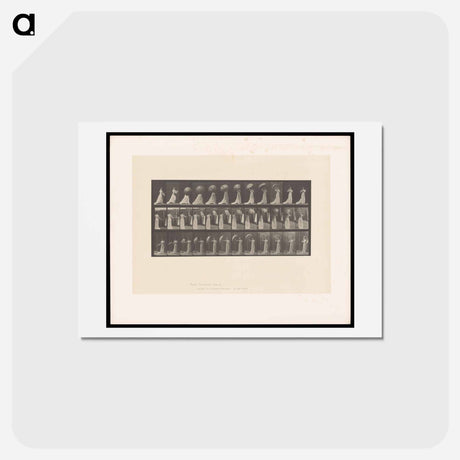 アートポストカード-Woman with Parasol
 - エドワード マイブリッジ Postcard.