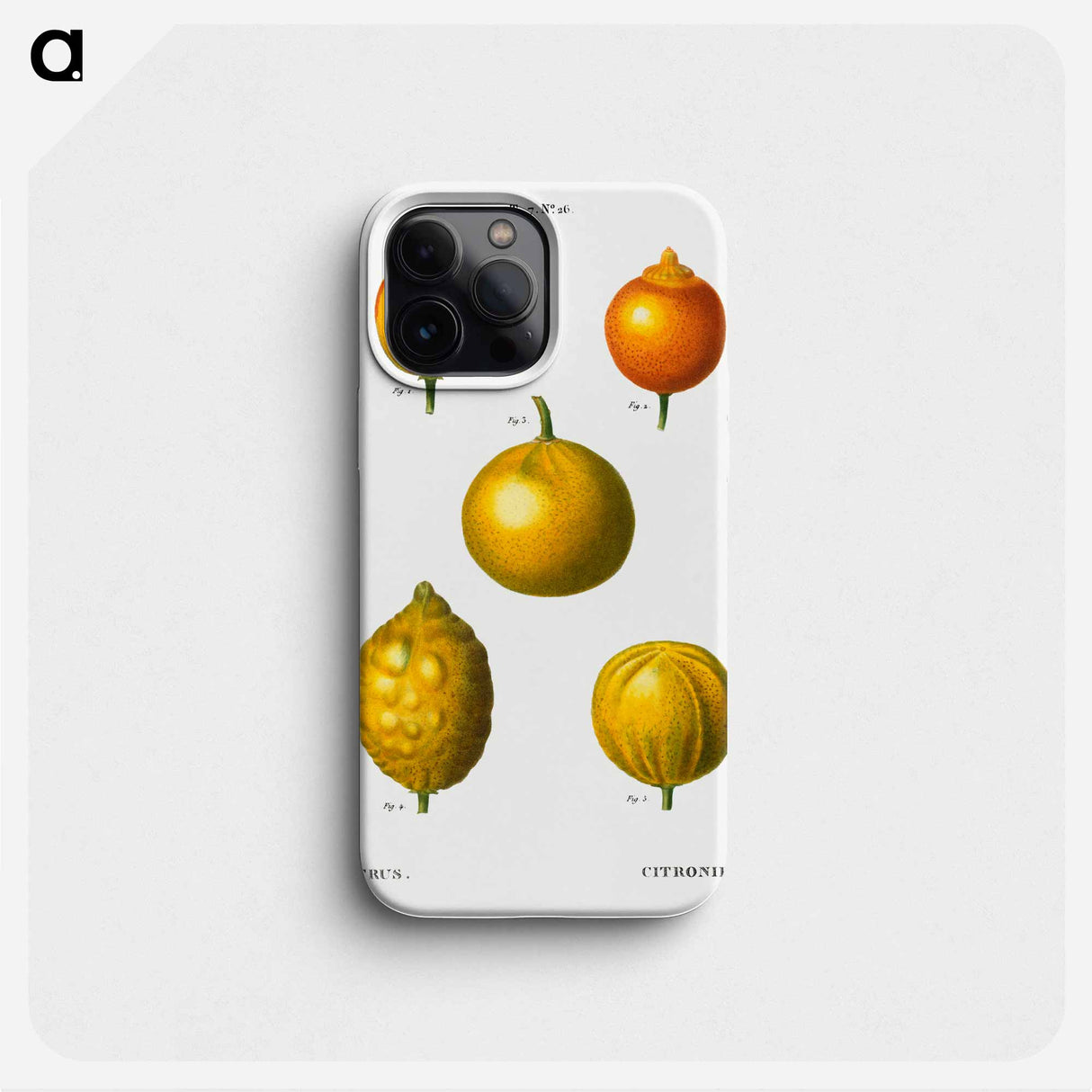 Citrus from Traité des Arbres et Arbustes que l'on cultive en France en pleine terre - ピエール ジョゼフ ルドゥーテ Phone Case.