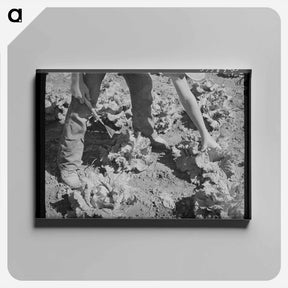 アートパネル-Sorghum Pouring
 - ラッセル リー Canvas.