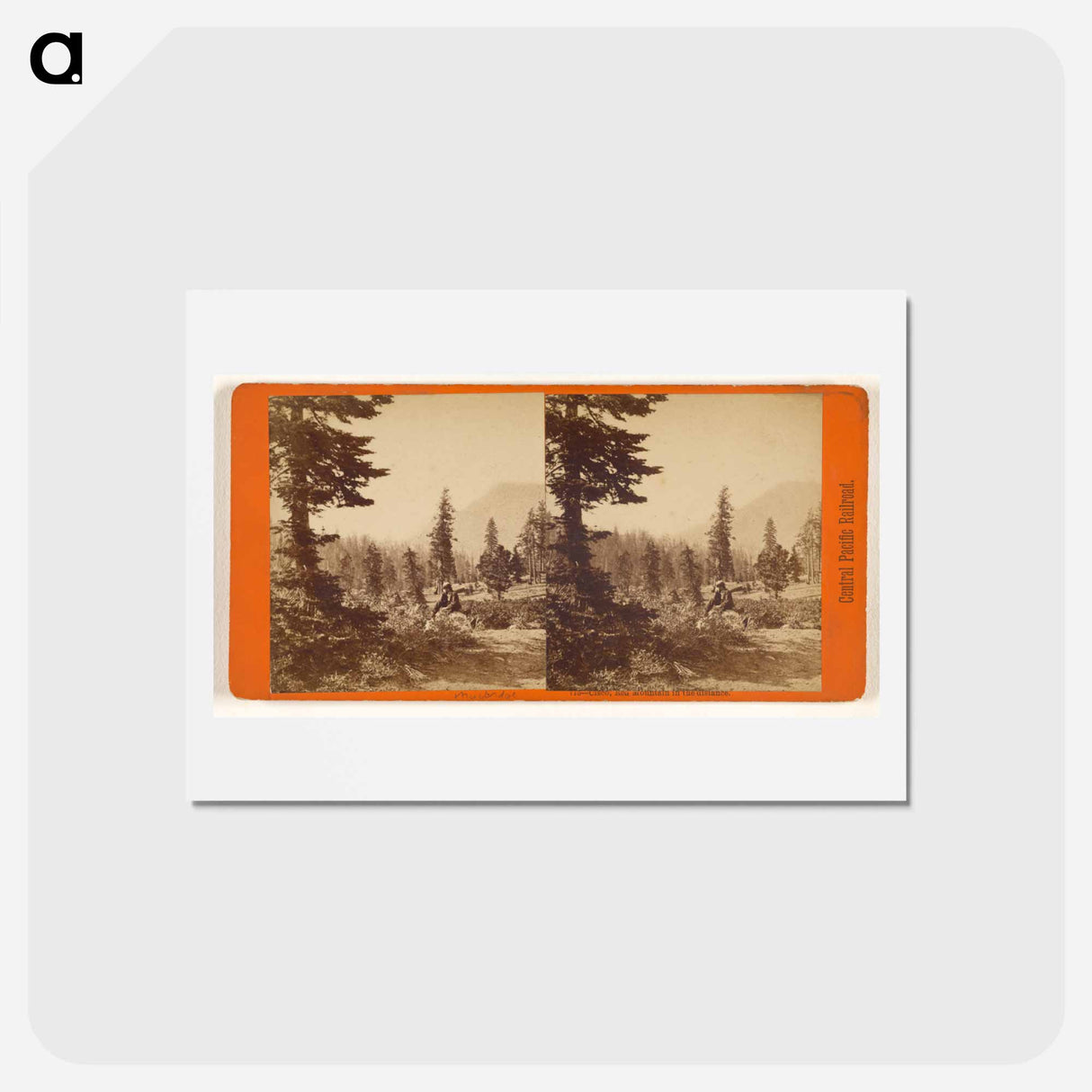 アートポストカード-Cisco, Red Mountain
 - エドワード マイブリッジ Postcard.