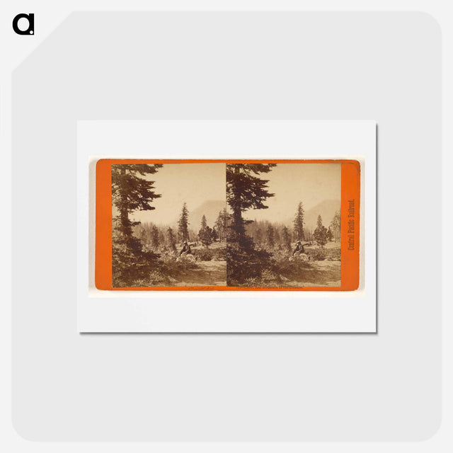 アートポストカード-Cisco, Red Mountain
 - エドワード マイブリッジ Postcard.