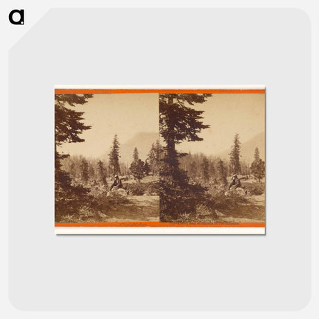 アートポストカード-Cisco, Red Mountain
 - エドワード マイブリッジ Postcard.