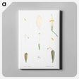 アートパネル-Flower parts from La Botanique de J. J. Rousseau - ピエール ジョゼフ ルドゥーテ Canvas.