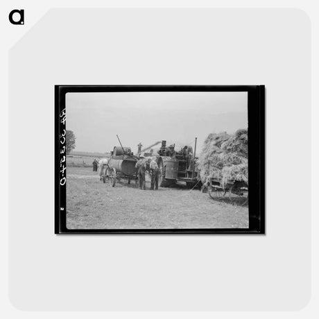 アートポストカード-Threshing Near Kewanee
 - ラッセル リー Postcard.