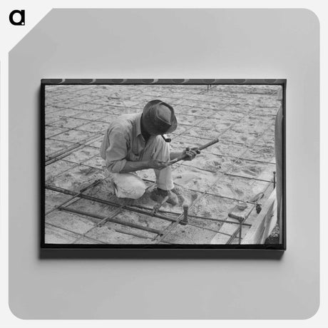 アートパネル-Guayule Rubber Worms
 - ラッセル リー Canvas.