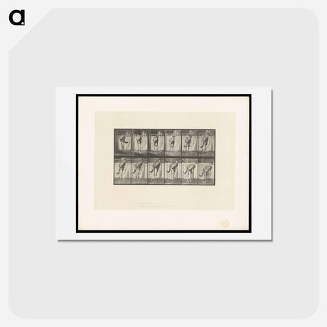 アートポストカード-Jumping Kangaroo
 - エドワード マイブリッジ Postcard.