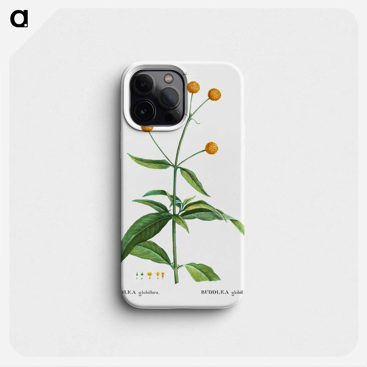 Orange ball buddleja - ピエール ジョゼフ ルドゥーテ Phone Case.