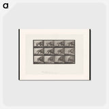 アートポストカード-Walking Lion
 - エドワード マイブリッジ Postcard.