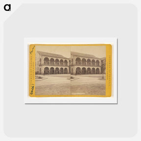 アートポストカード-Cabildo
 - エドワード マイブリッジ Postcard.