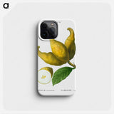 Cluster of lemons - Pierre Joseph Redouté Phone Case.