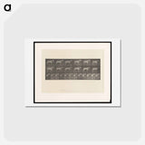 アートポストカード-Horse in Motion
 - エドワード マイブリッジ Postcard.