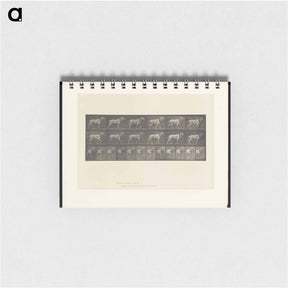 アートメモ帳-Horse in Motion
 - エドワード マイブリッジ Memo.