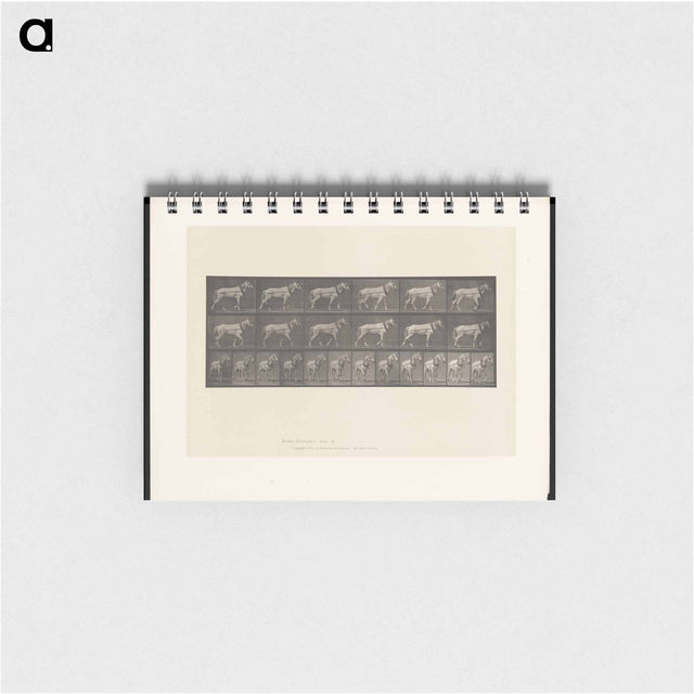 アートメモ帳-Horse in Motion
 - エドワード マイブリッジ Memo.