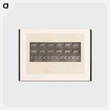 アートポストカード-Horse in Motion
 - エドワード マイブリッジ Postcard.