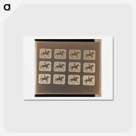 アートポストカード-Ambling (Single Foot)
 - エドワード マイブリッジ Postcard.