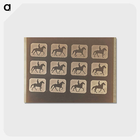 アートポストカード-Ambling (Single Foot)
 - エドワード マイブリッジ Postcard.