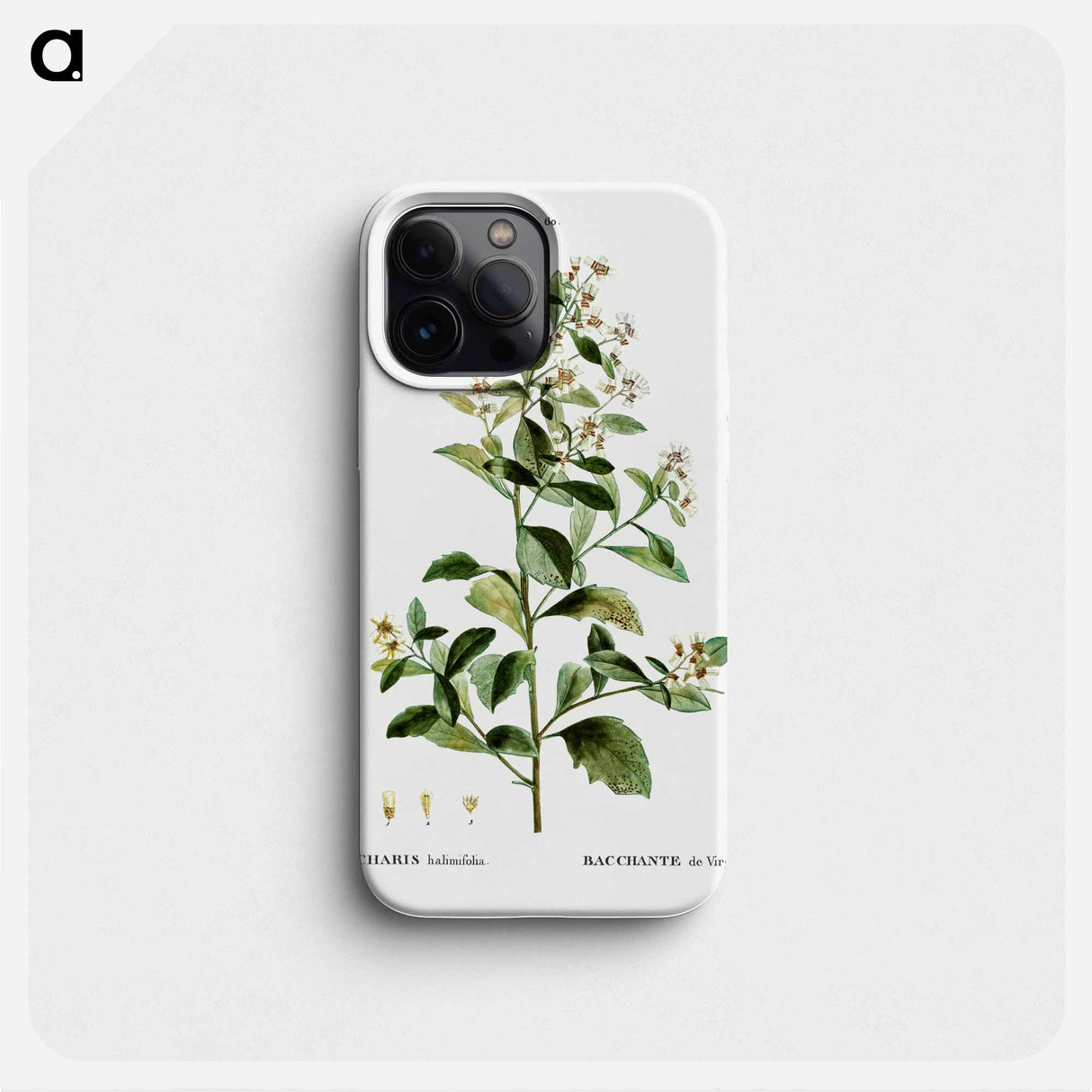 Sea myrtle - ピエール ジョゼフ ルドゥーテ Phone Case.