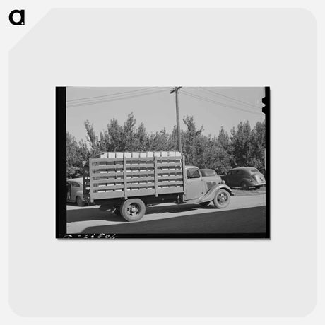 アートポストカード-Pears to Market
 - ラッセル リー Postcard.