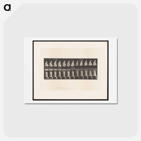 アートポストカード-Woman with Basin
 - エドワード マイブリッジ Postcard.