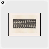 アートポストカード-Woman with Basin
 - エドワード マイブリッジ Postcard.