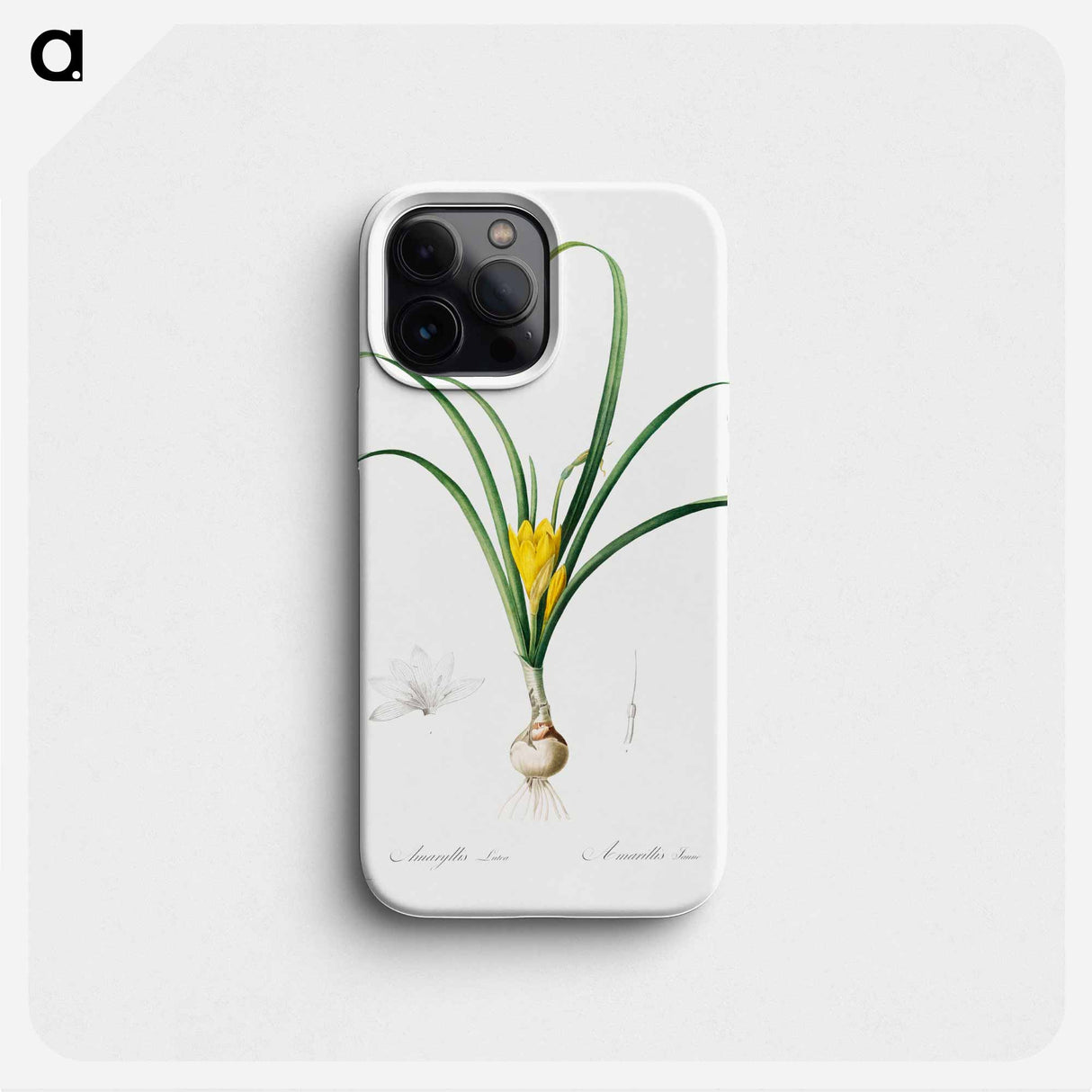 Amaryllis Lutes - Pierre Joseph Redouté Phone Case.