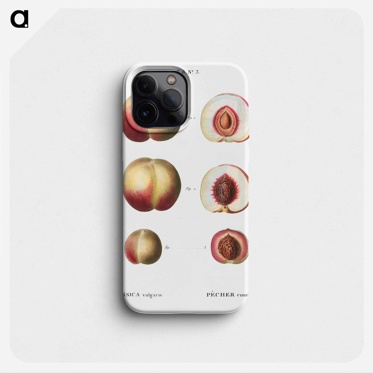 Peaches - Pierre Joseph Redouté Phone Case.