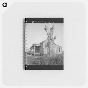 アートメモ帳-Plantation cabin of sharecropper - ドロテア ラング Memo.
