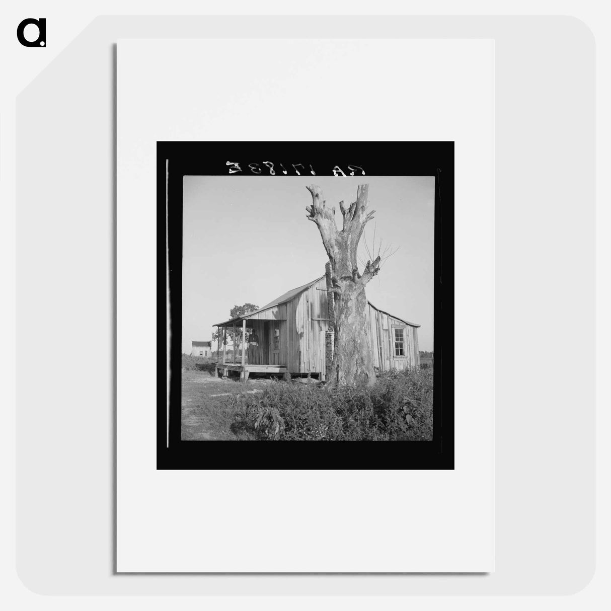 Plantation cabin of sharecropper - Dorothea Lange Poster.