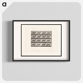 アートポスター-Camel Walking
 - エドワード マイブリッジ Poster.