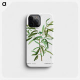 Comptonia ceterach - Pierre Joseph Redouté Phone Case.