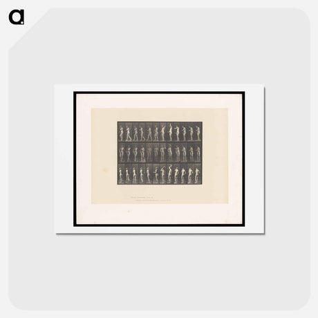 アートポストカード-Woman Brushing Her Hair
 - エドワード マイブリッジ Postcard.