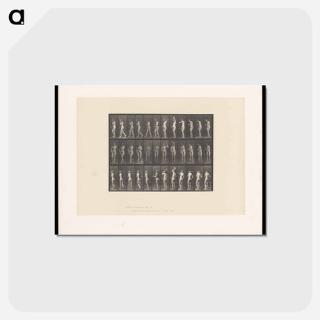 アートポストカード-Woman Brushing Her Hair
 - エドワード マイブリッジ Postcard.