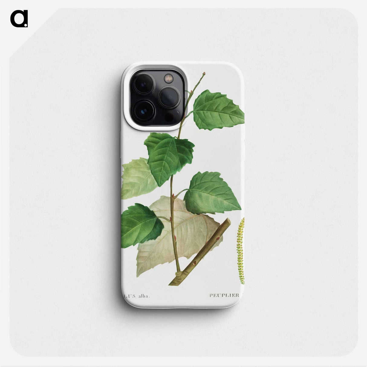 White poplar - Pierre Joseph Redouté Phone Case.