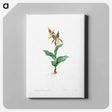 アートパネル-Cypripedium Calceolus - ピエール ジョゼフ ルドゥーテ Canvas.