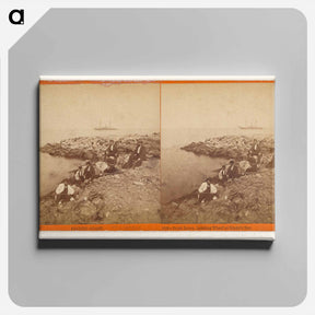 アートパネル-Pacific Coast. Point Reyes, Landing Wharf at Drake's Bay
 - エドワード マイブリッジ Canvas.
