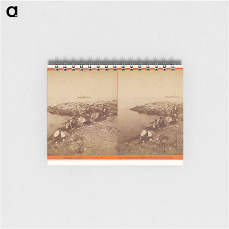 アートメモ帳-Pacific Coast. Point Reyes, Landing Wharf at Drake's Bay
 - エドワード マイブリッジ Memo.