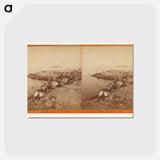 アートポストカード-Pacific Coast. Point Reyes, Landing Wharf at Drake's Bay
 - エドワード マイブリッジ Postcard.