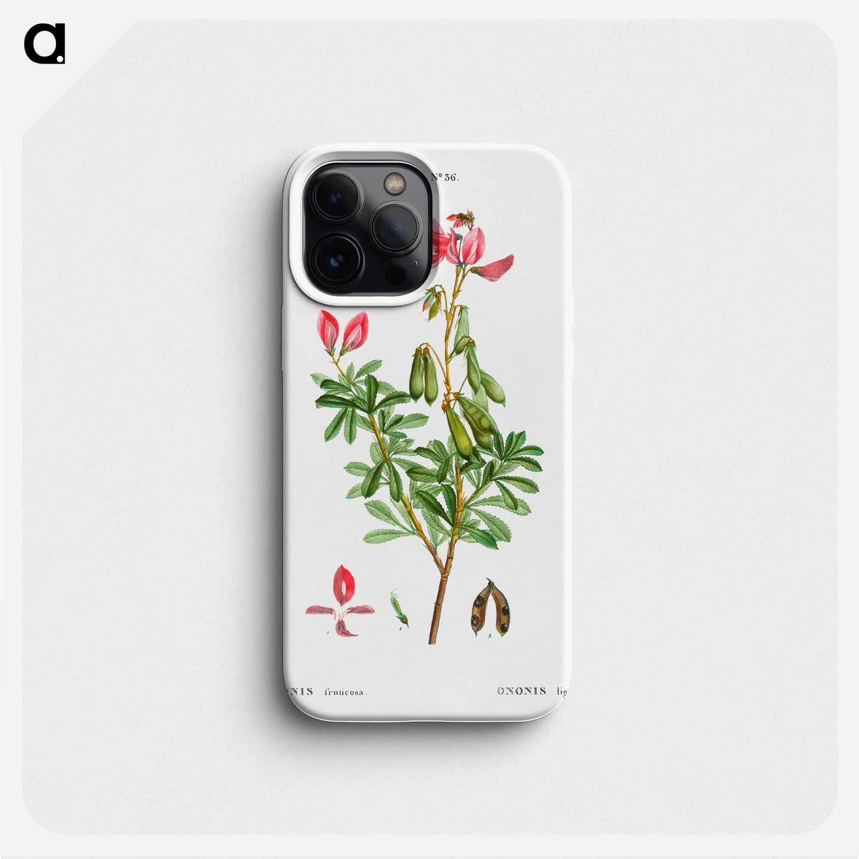 Ononis fruticosa - ピエール ジョゼフ ルドゥーテ Phone Case.